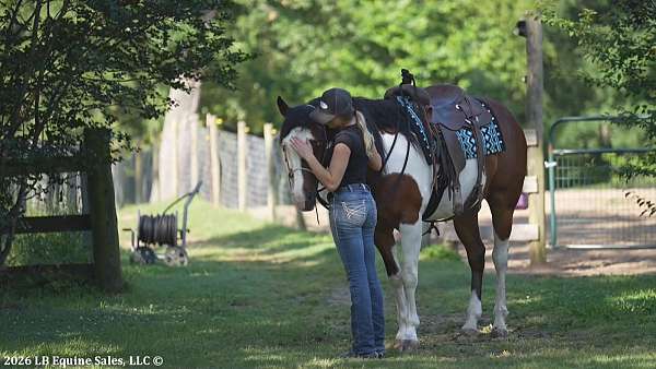 husband-safe-paint-horse