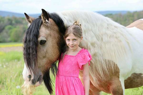 trail-riding-gypsy-vanner-horse