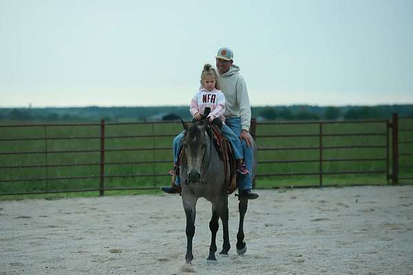 athletic-quarter-horse
