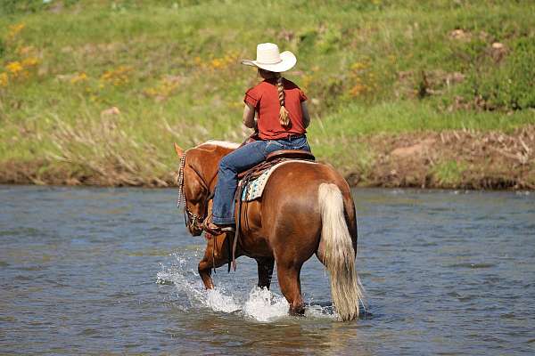 trail-riding-quarter-horse
