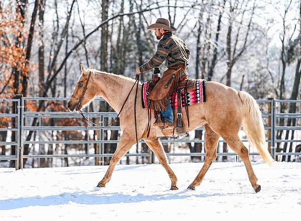ranch-versatility-quarter-horse