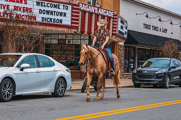 roping-quarter-horse