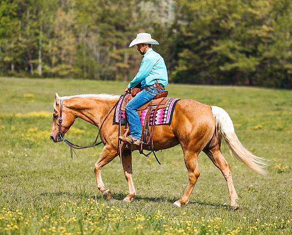 trail-riding-quarter-horse