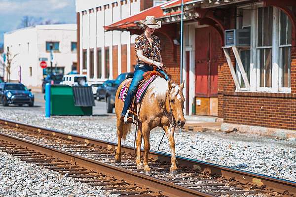 trail-quarter-horse