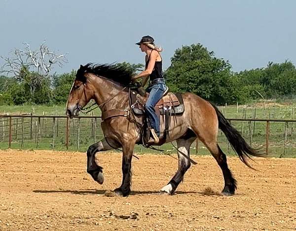 cross-draft-horse