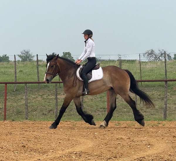 driving-draft-horse
