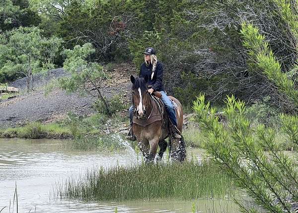 jumping-draft-horse