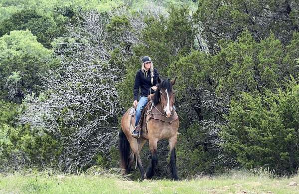flashy-draft-horse