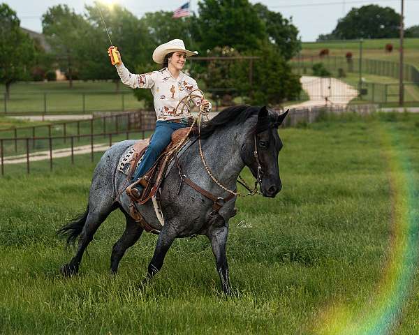 flashy-draft-horse