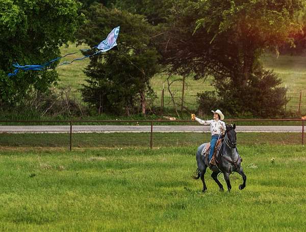 ranch-draft-horse