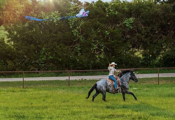 ranch-work-draft-horse