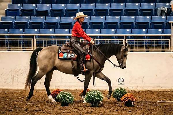 ranch-quarter-horse
