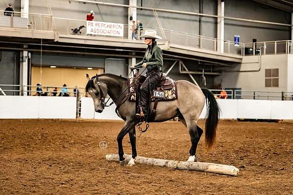 ranch-work-quarter-horse