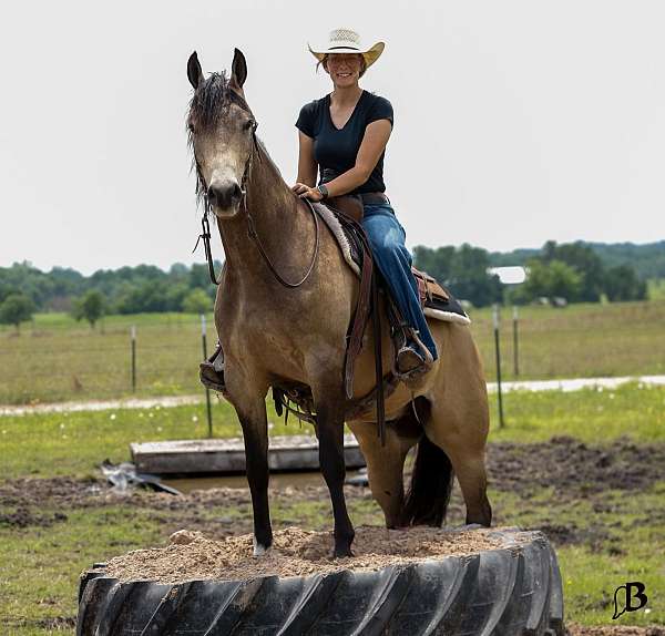 roping-quarter-horse
