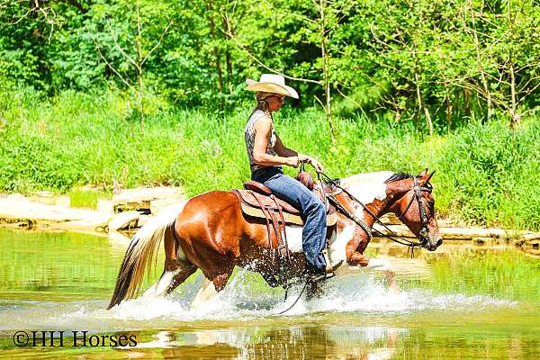 athletic-paint-horse