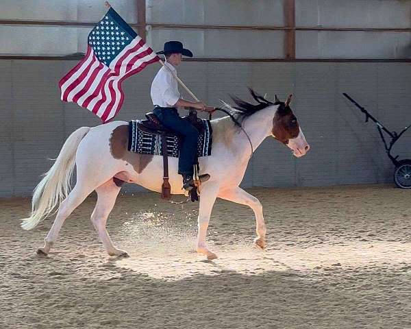 tobiano-dun-marking-horse