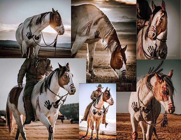 body-control-paint-horse