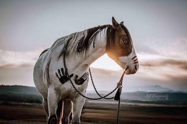 brand-paint-horse