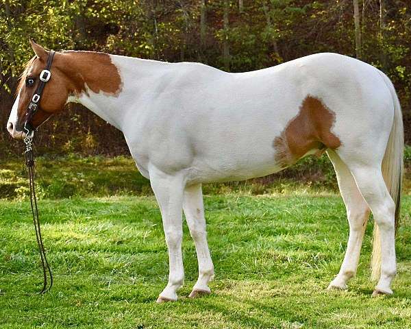 presence-paint-horse