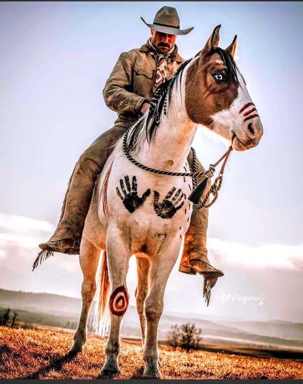 saint-paint-horse