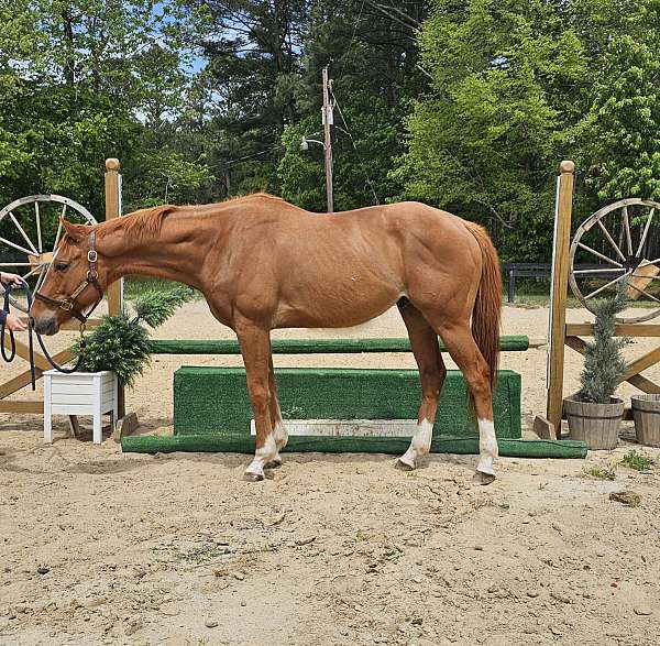 eventing-show