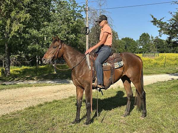 cheyenne-thoroughbred-horse
