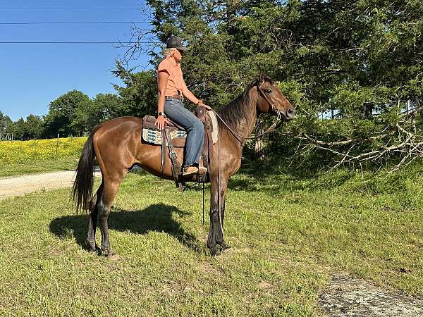 mindy-thoroughbred-horse