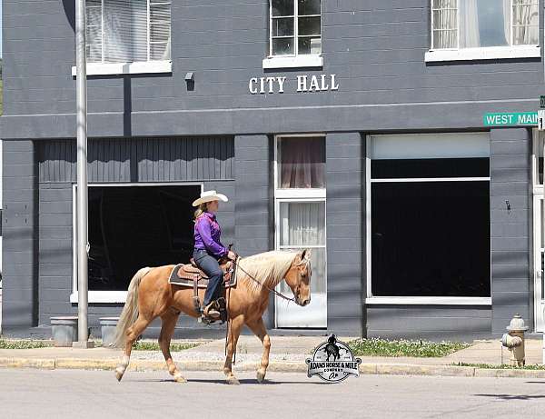 rough-trail-quarter-horse