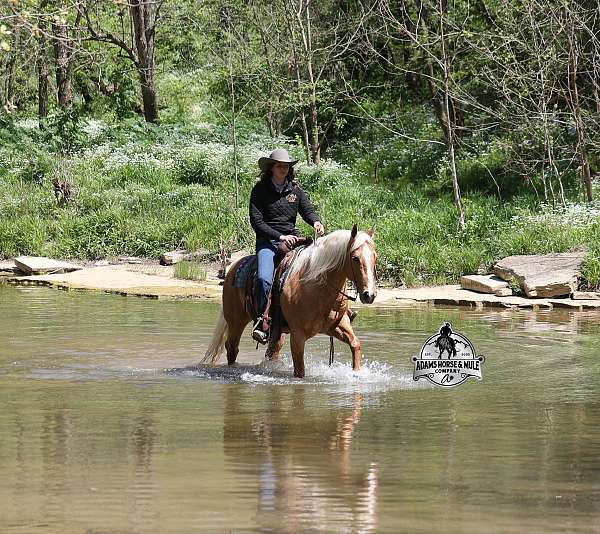 lonesome-gelding