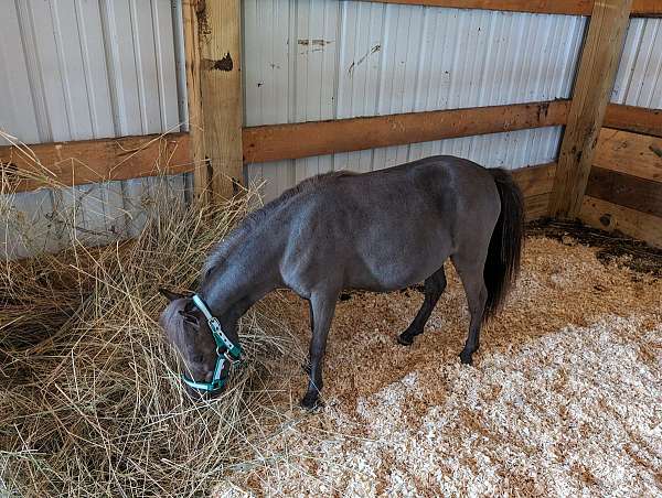 breeding-double-registered