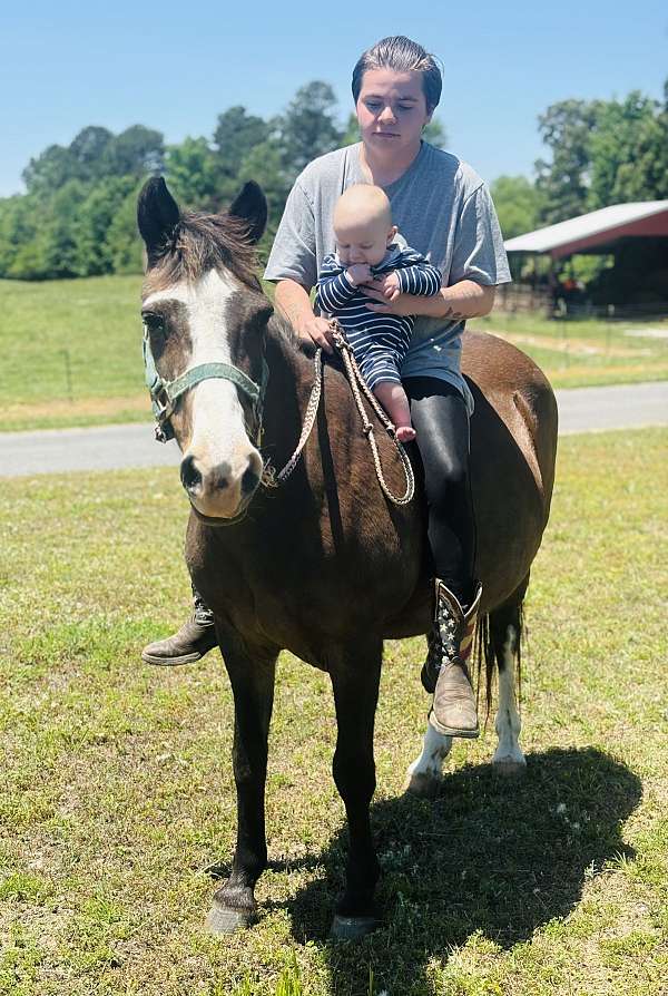 pony-mare