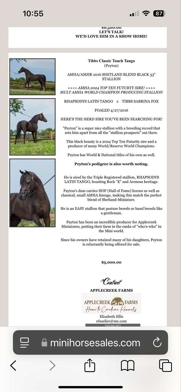 none-horse