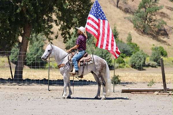 kid-safe-quarter-horse