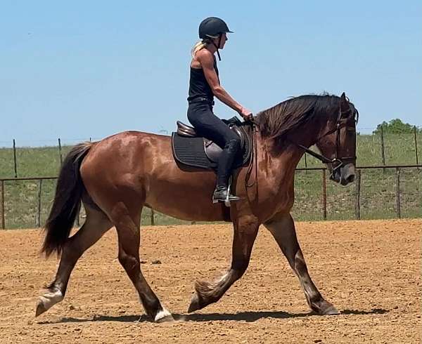 ranch-versatility-draft-horse