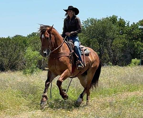 ranch-work-draft-horse