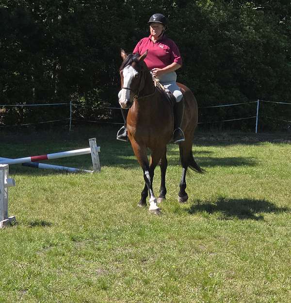 working-horse-paint