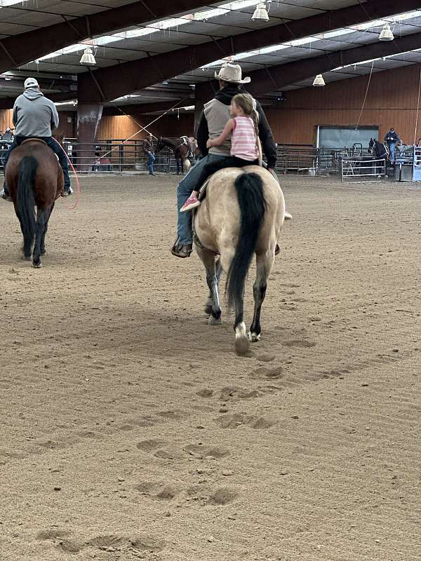 barrel-racing-quarter-horse