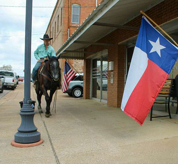 ranch-work-quarter-horse
