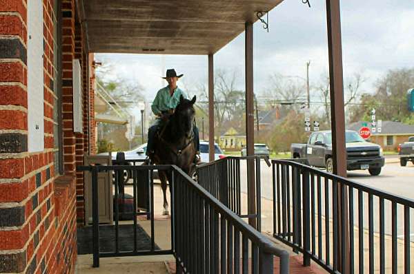 ridden-western-quarter-horse