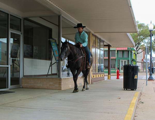 roping-quarter-horse
