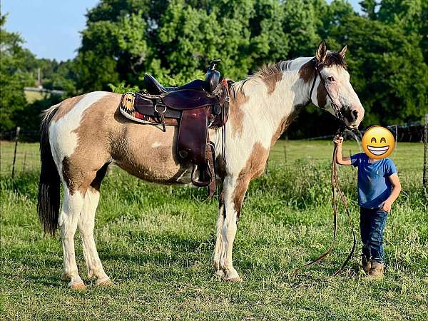buckskin-overo-working-catt-horse