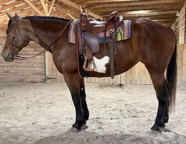 draft-draft-paint-horse