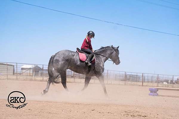 calf-roping-quarter-horse