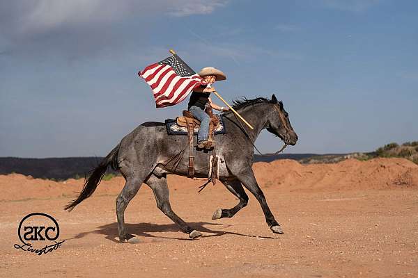 ranch-quarter-horse