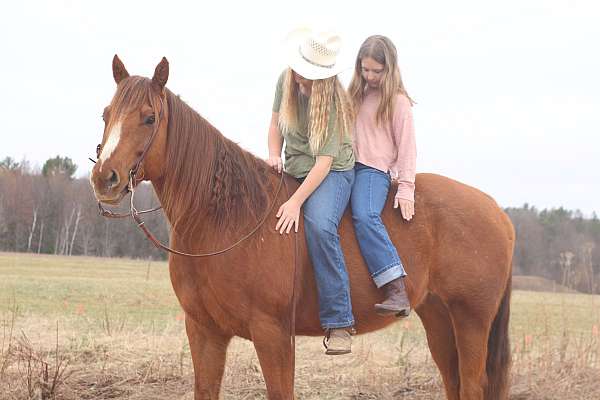 husband-safe-horse-quarter