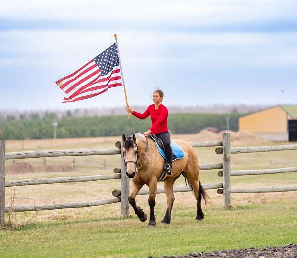 driving-draft-horse