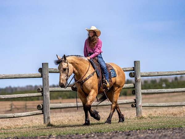 flashy-draft-horse
