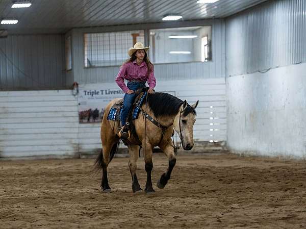 ranch-draft-horse