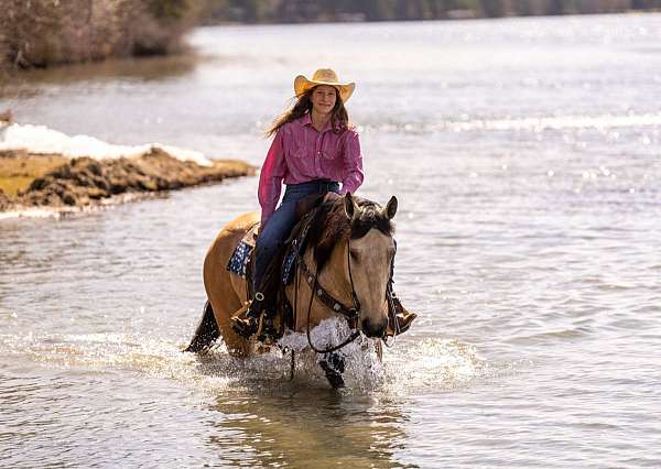 ranch-work-draft-horse