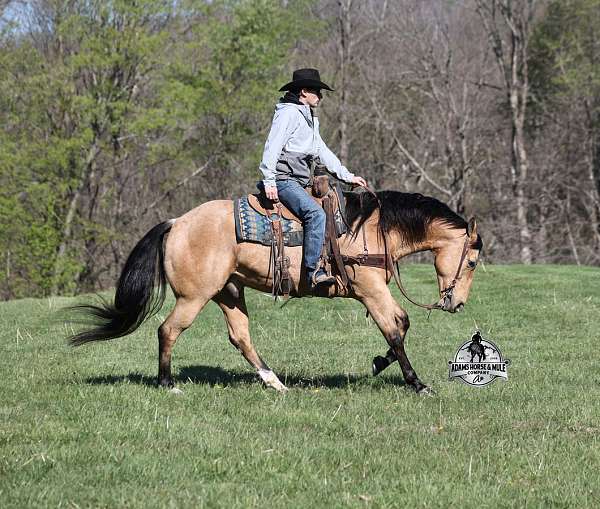 ranch-versatility-quarter-horse